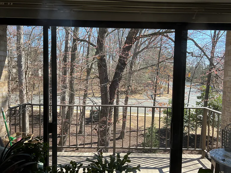 2037 Royal Fern Ct #22C — Photo 9