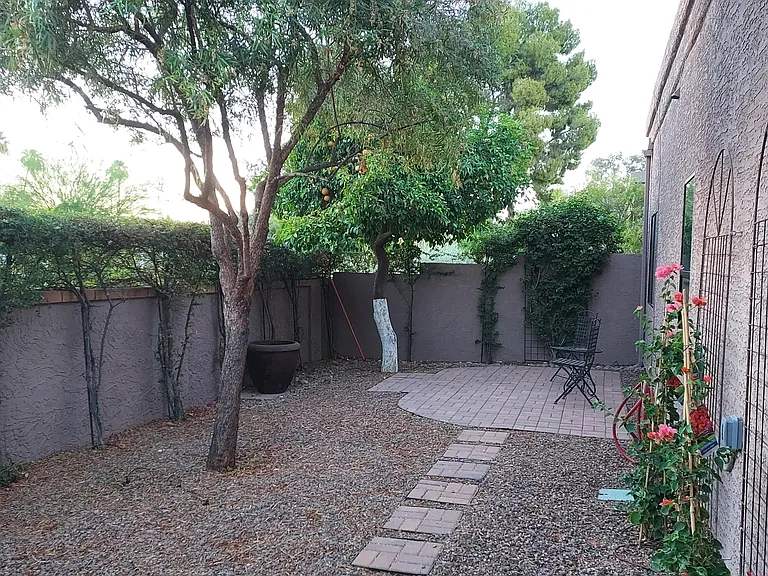 7544 N Via De La Siesta — Photo 38