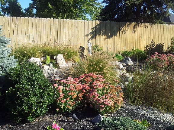 Water Feature Pond/Fish