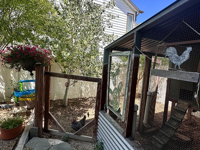 6925 McClellan Rd — Photo 22
