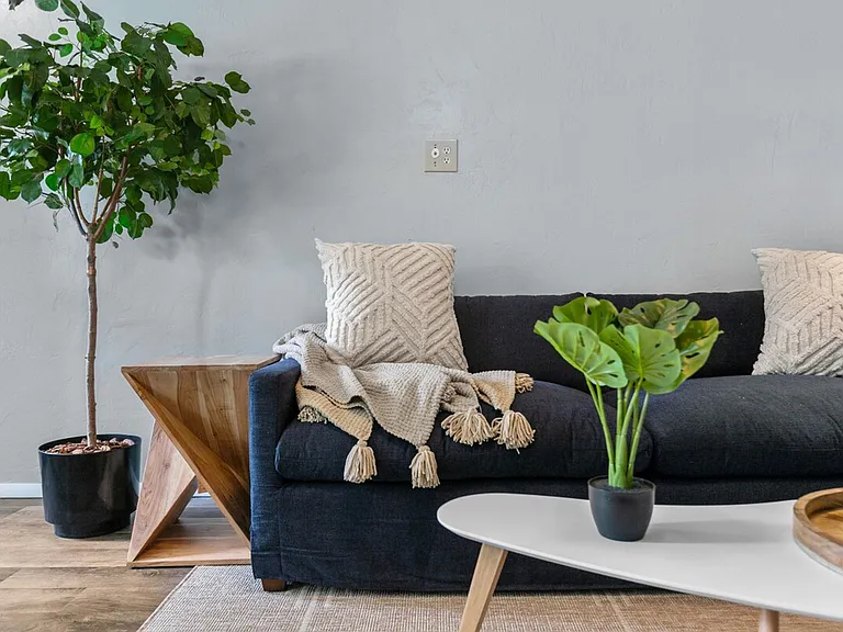 Sofa Bed