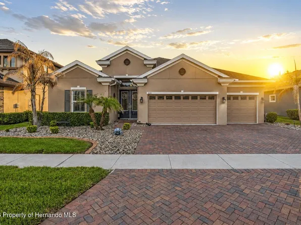 8142 Water Color Dr, Land O Lakes, FL 34638