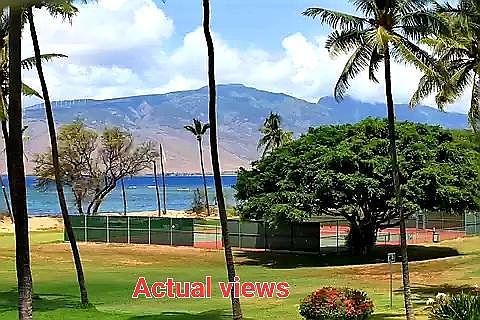 Tennis/pickleball and grassy park area