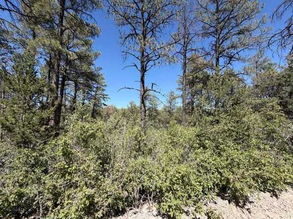 429 Dixwood Dr, Timberon, NM 88350