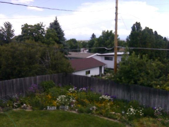 VIEW SOUTH FROM DECK