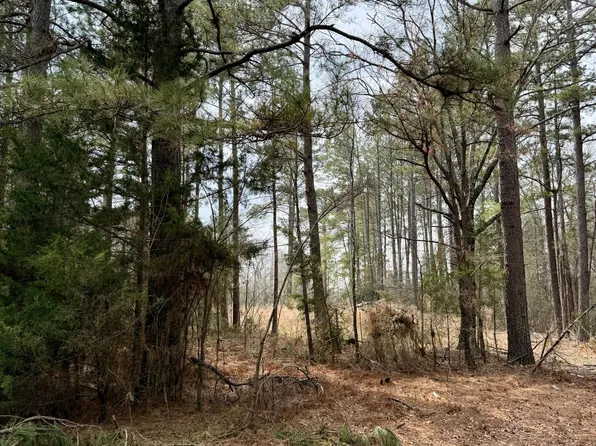 0 Belle Bower Texas Line Rd, Logansport, LA 71049