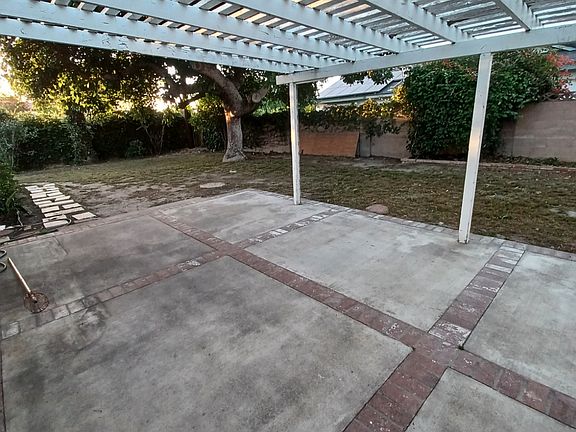 Backyard with avocado tree