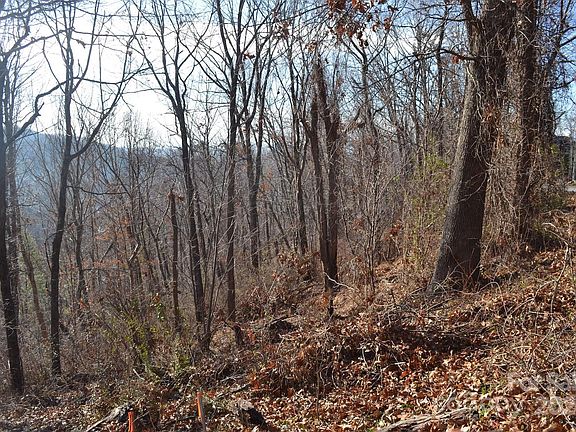 2nd image of 377 Elk Mountain Scenic Hwy