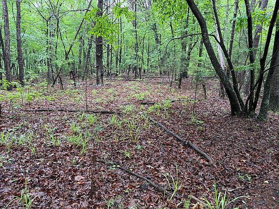 3rd image of 0 Count Gravel Rd