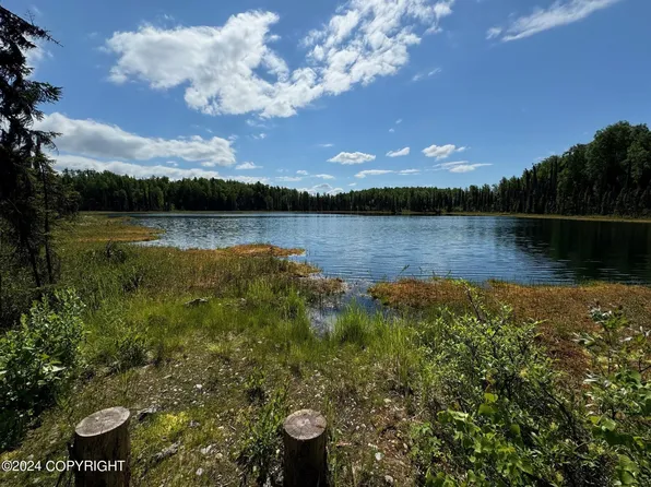 B005 Private Rd, Willow, AK 99688