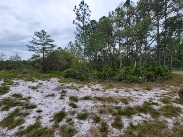 SE FISHER ROAD, OCKLAWAHA, FL 32179