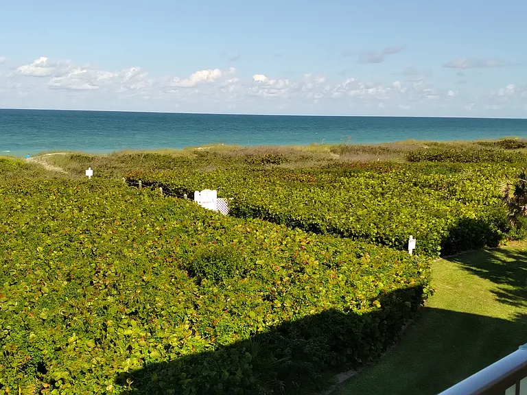 1550 S Ocean Dr #D24 — Photo 16