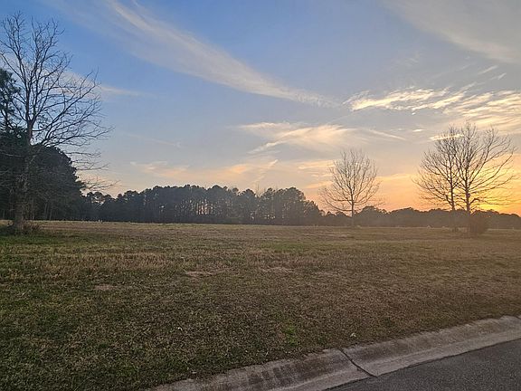 2nd image of 178 Sycamore Lakes Drive LOT 985R