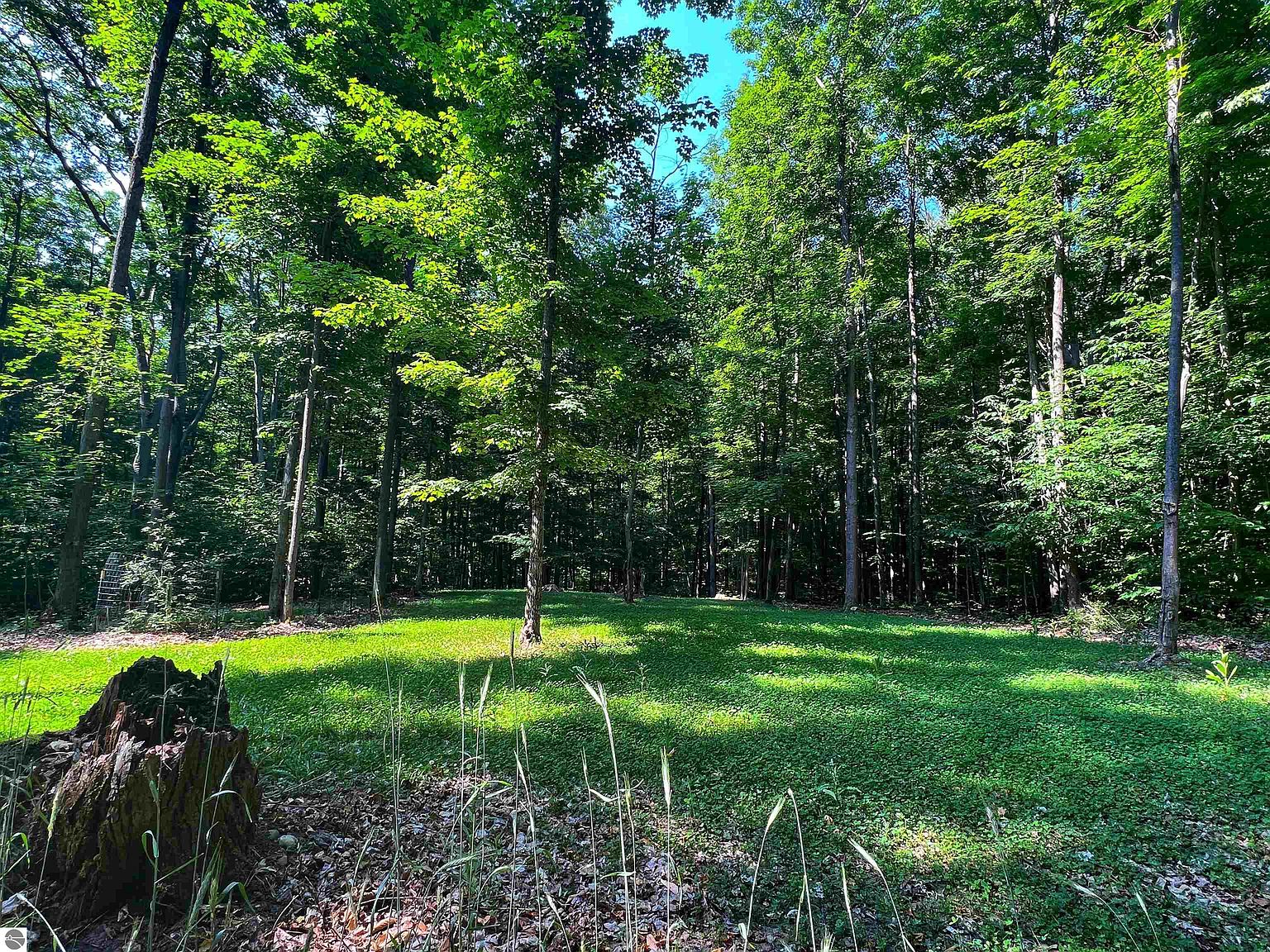 386 Entwood Ln SW, Fife Lake, MI 49633 Zillow