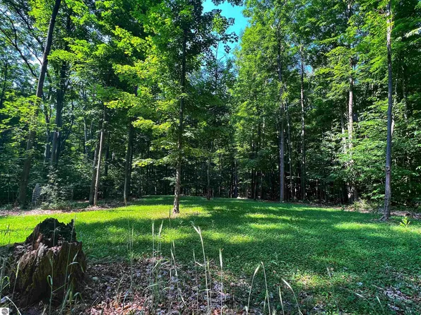 386 Entwood Ln SW, Fife Lake, MI 49633