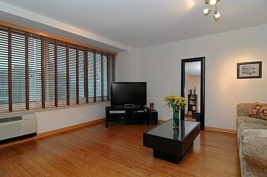 5th image of 211 E Ohio St APT 2505