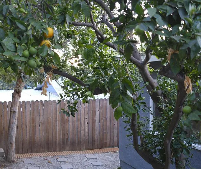 447 James St — Photo 25