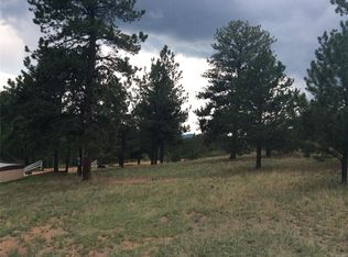3140 Pikes Peak Dr, Florissant, CO 80816