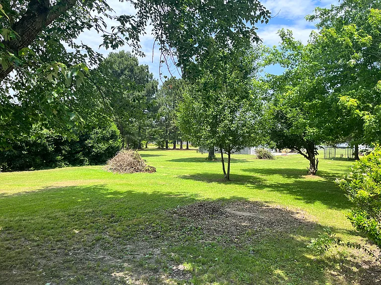 54 Davis Rd #A — Photo 9