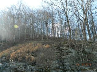 89 Sandlick Branch Rd, Bruno, WV 25611