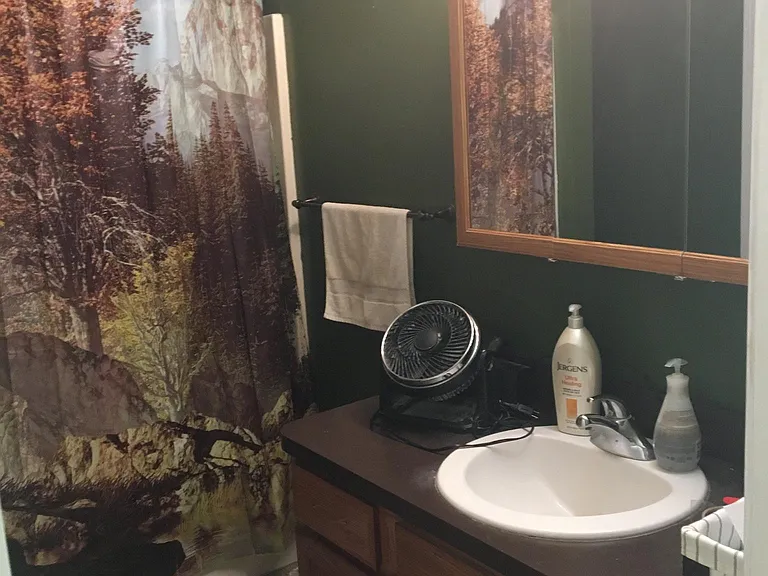 Master bathroom