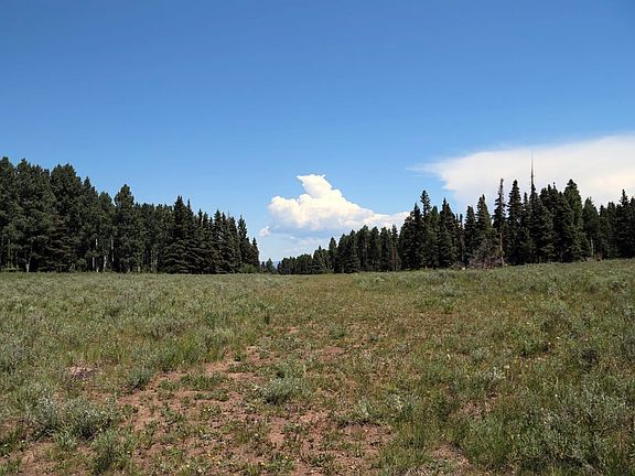 5th image of Big Blue Little Blue Creeks Rd