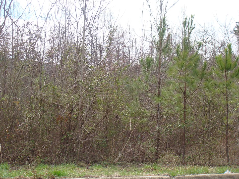 2nd image of 81 Woodland Forrest