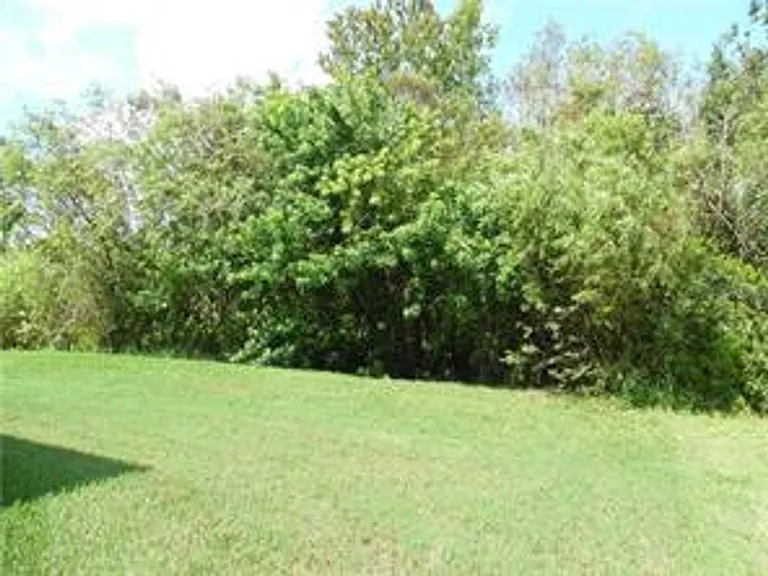 11339 Village Brook Dr — Photo 11
