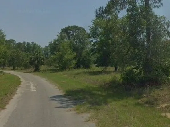 6 SE Maple Lane Run, Ocklawaha, FL 32179