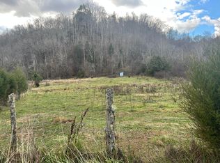 810 Bunker Rd, Duffield, VA 24244