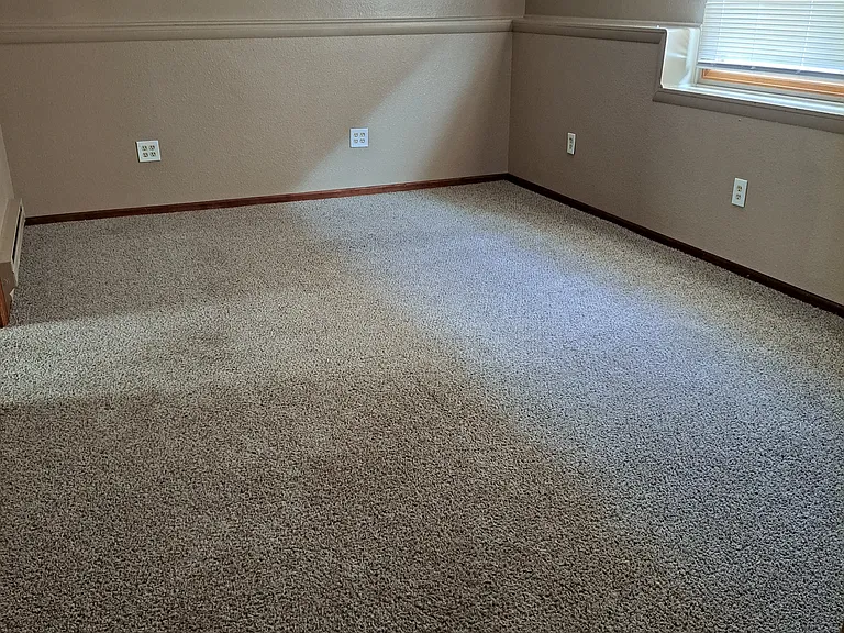 Lower level living space. Currently couch, coffee table, and lamp in there- this will be your space to use as you wish. Attached to it is the bedroom that is part of this space. There is a pocket door that closes this room off from the rest of the house.