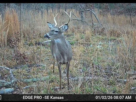 2nd image of 0 Highway 84 #1