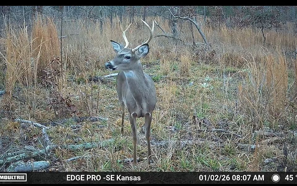 2nd image of 0 Highway 84 #1