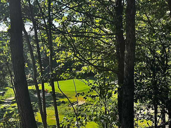 2nd image of 0 Eagle Creek Trl Lot 13