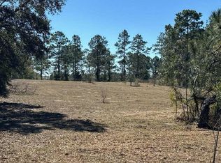 19491 57th Rd, Mc Alpin, FL 32062