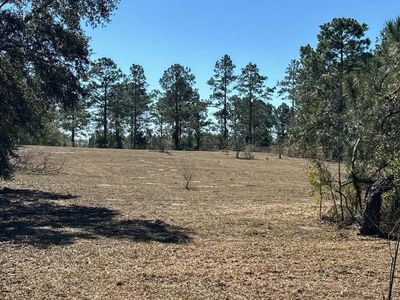 19491 57th Rd, Mc Alpin, FL, 32062