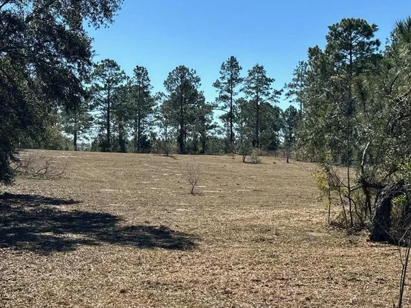 19491 57th Rd, Mc Alpin, FL 32062