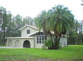 21921 Carson Dr, Land O Lakes, FL 34639