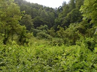 Black Sheep Hollow Rd, Sneedville, TN 37869