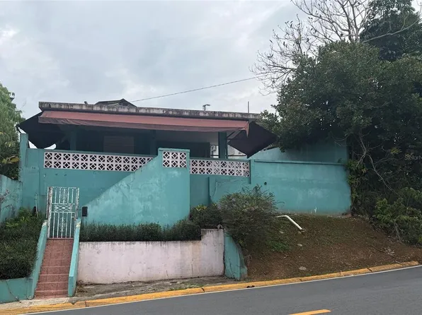 3 RAFAEL LASA, AGUAS BUENAS, PR 00703
