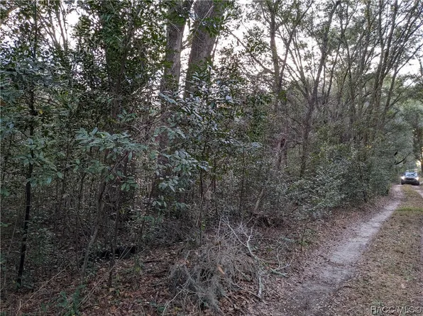 0 NW 15th St, Ocala, FL 34482