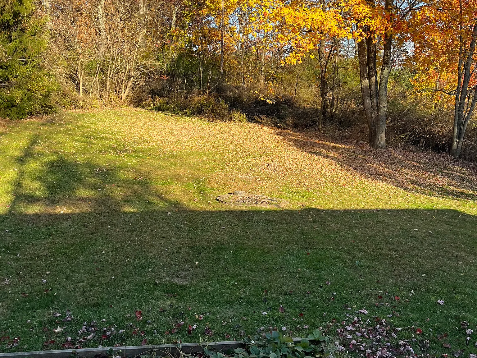 3 bed, $1,495 — Photo 3