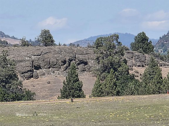4th image of 0 Desavado Rd