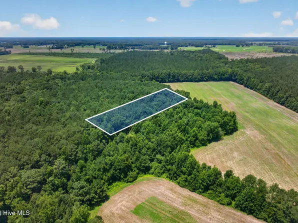 1-1 Acre Off Laura Hill Dr Lot 2, Clarkton, NC 28433