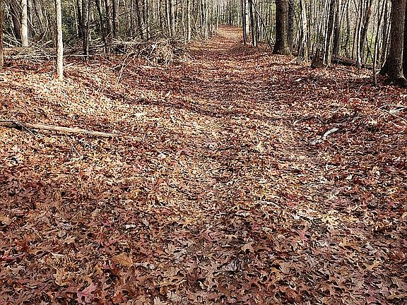 down the ridge to build site