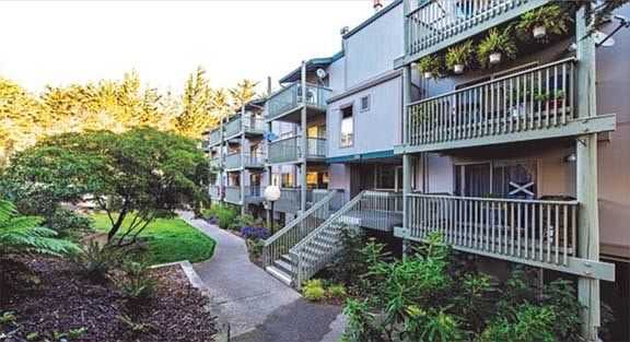 1st image of 375 Mandarin Dr APT 107