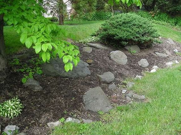 Rock Garden