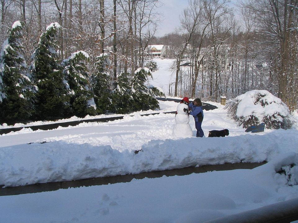 Winter 2006 Front Yard