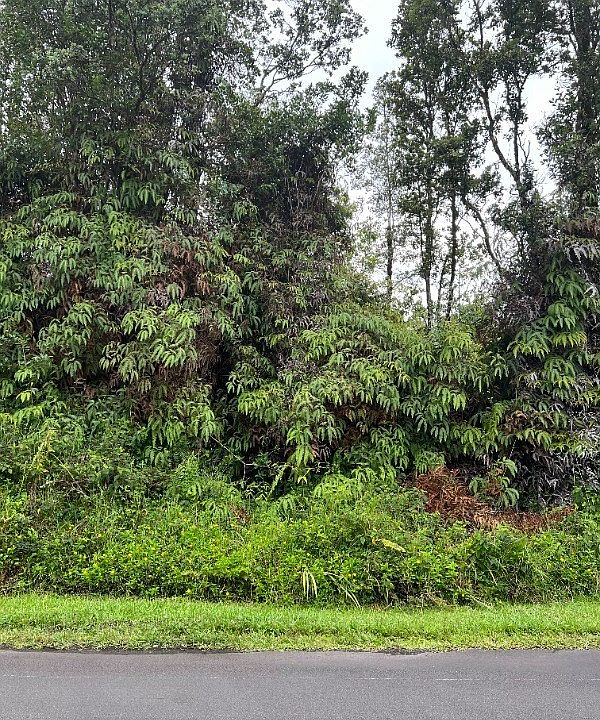 1st image of Plumeria St Lot 6660