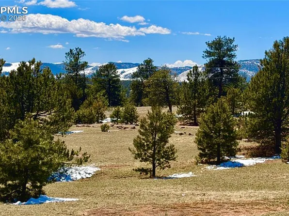418 Scott Dr, Florissant, CO 80816